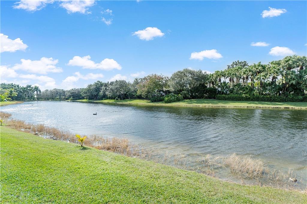 Colony - Residential