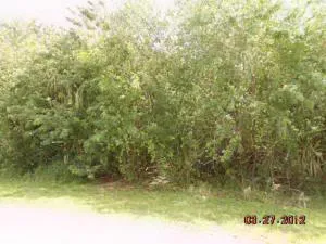 2071 SW Villanova Rd  