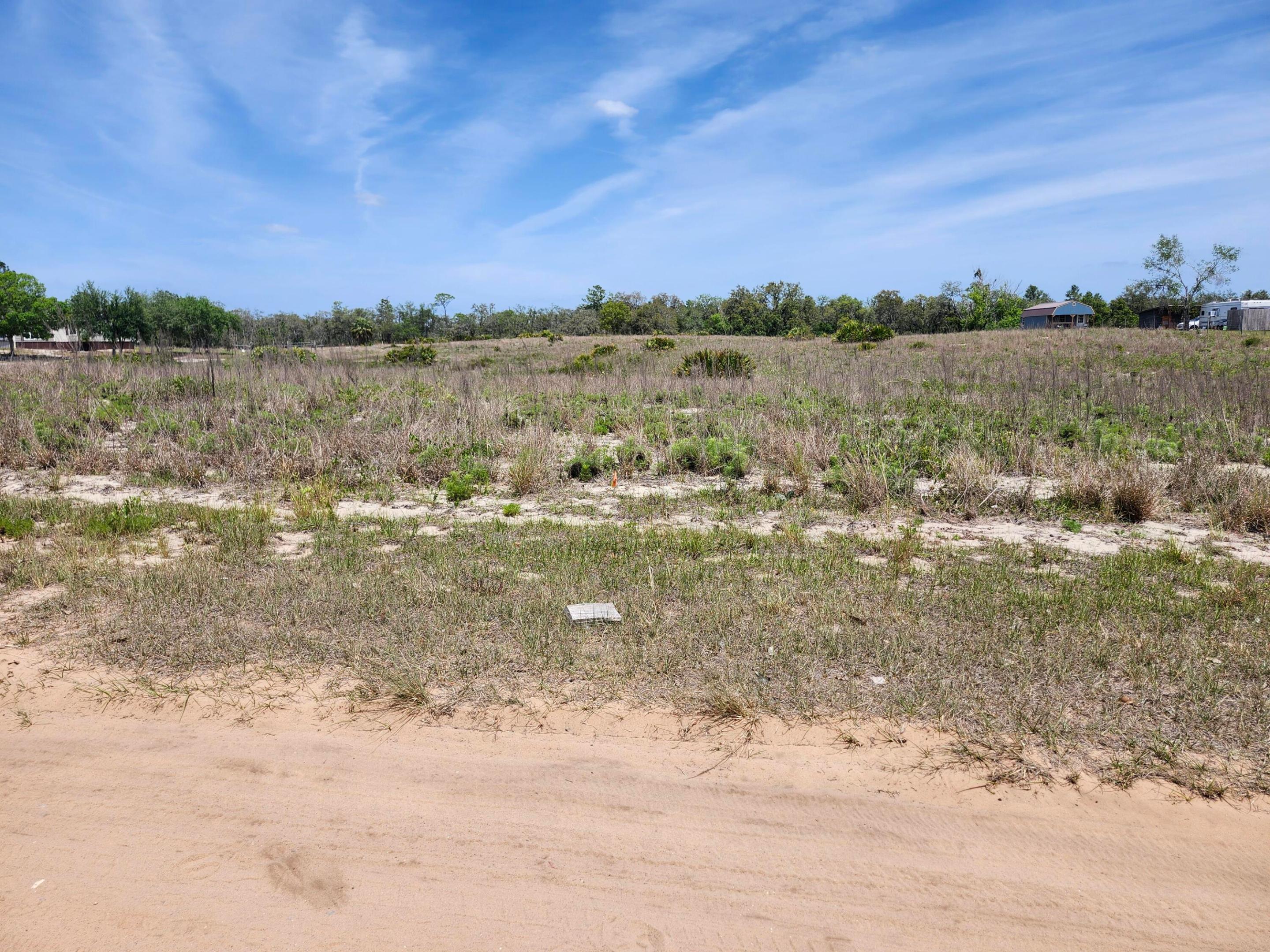 TIGER CREEK GROVES - Land