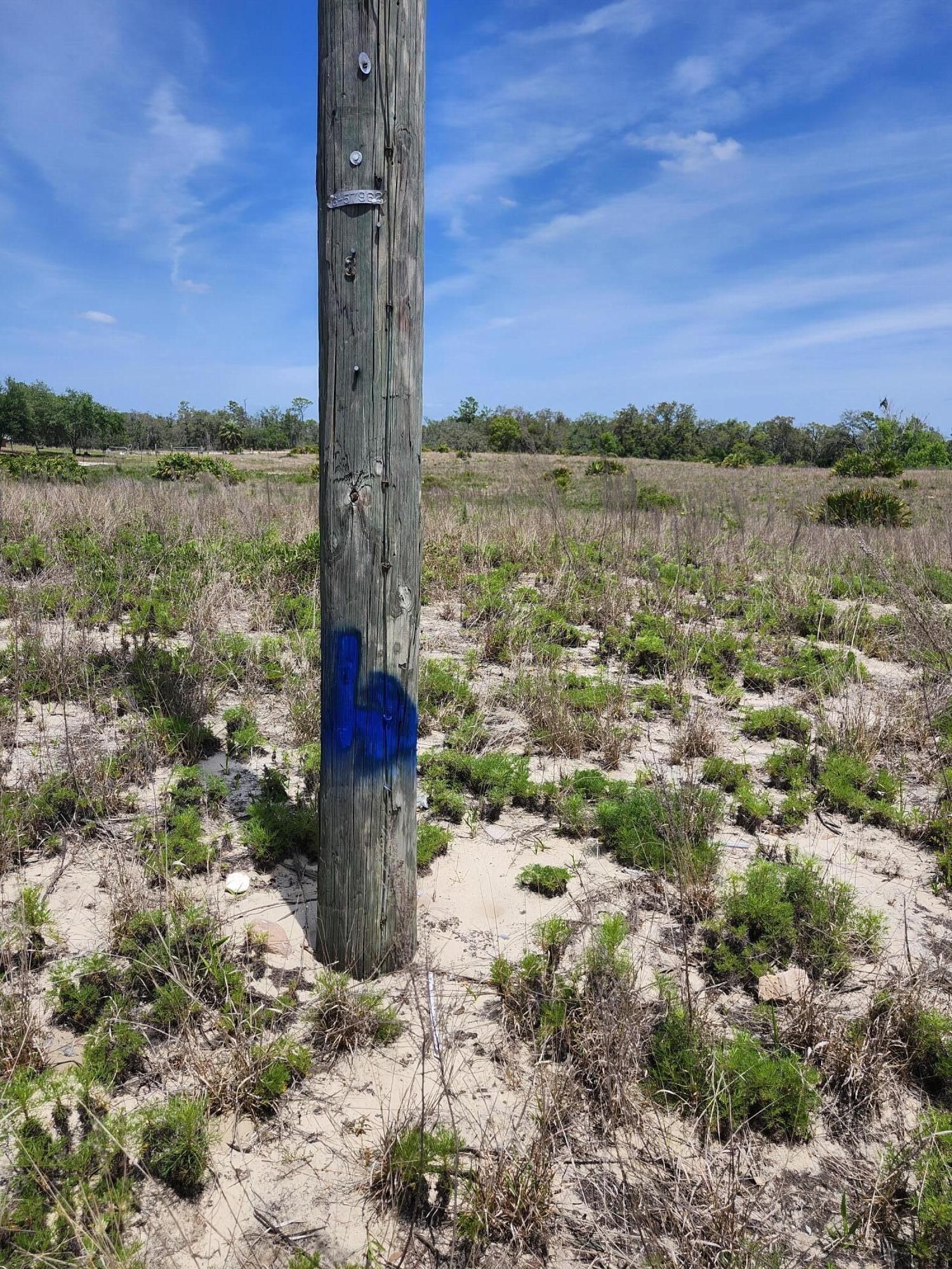 TIGER CREEK GROVES - Land