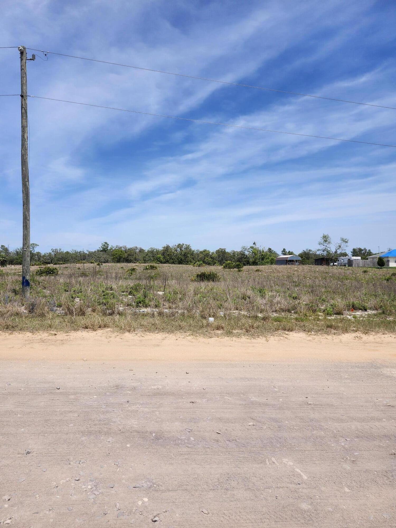 TIGER CREEK GROVES - Land