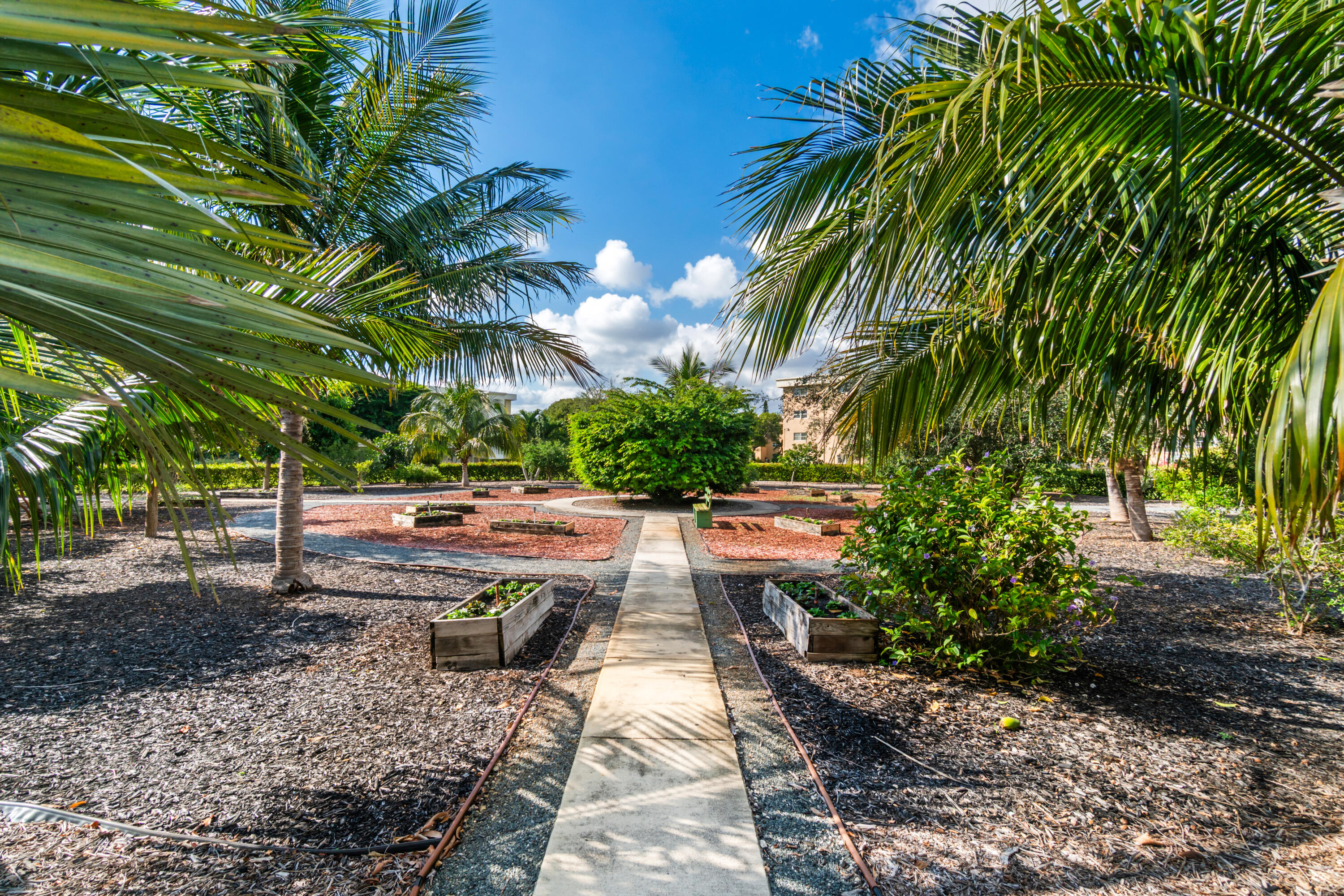 VILLAGE ROYALE ON THE GREEN CONDO - Residential