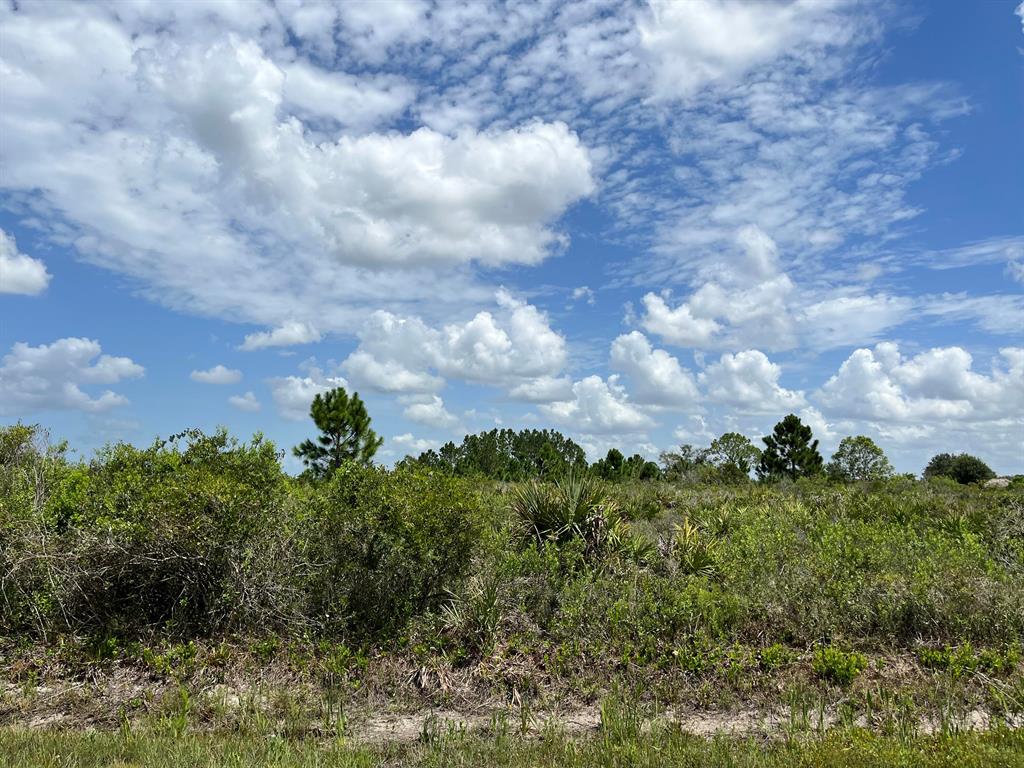 : Build or bring your dream home and barn on this beautiful and private high and dry 1.25 acre just off the main paved road. there is so much to enjoy in Okeechobee County. Come to The Kissimmee River Preserve State Park West of this area as well is the Kissimmee River. The Kissimmee River flows into Lake Okeechobee and is well known for some of the best fishing. whether you like Fishing, hunting, mudding agriculture or just privacy here you have it all. Owner Financing available