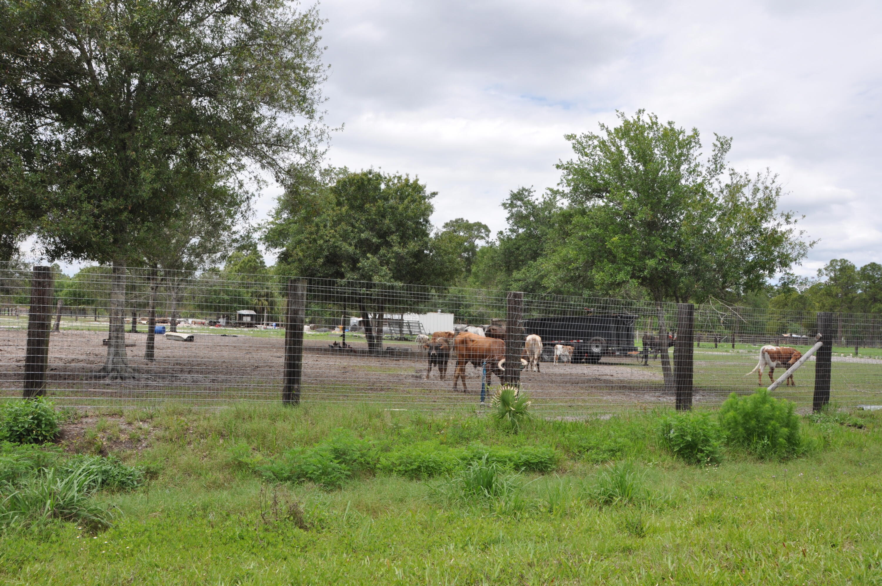 MONTURA RANCH UNREC SEC 25 - Land