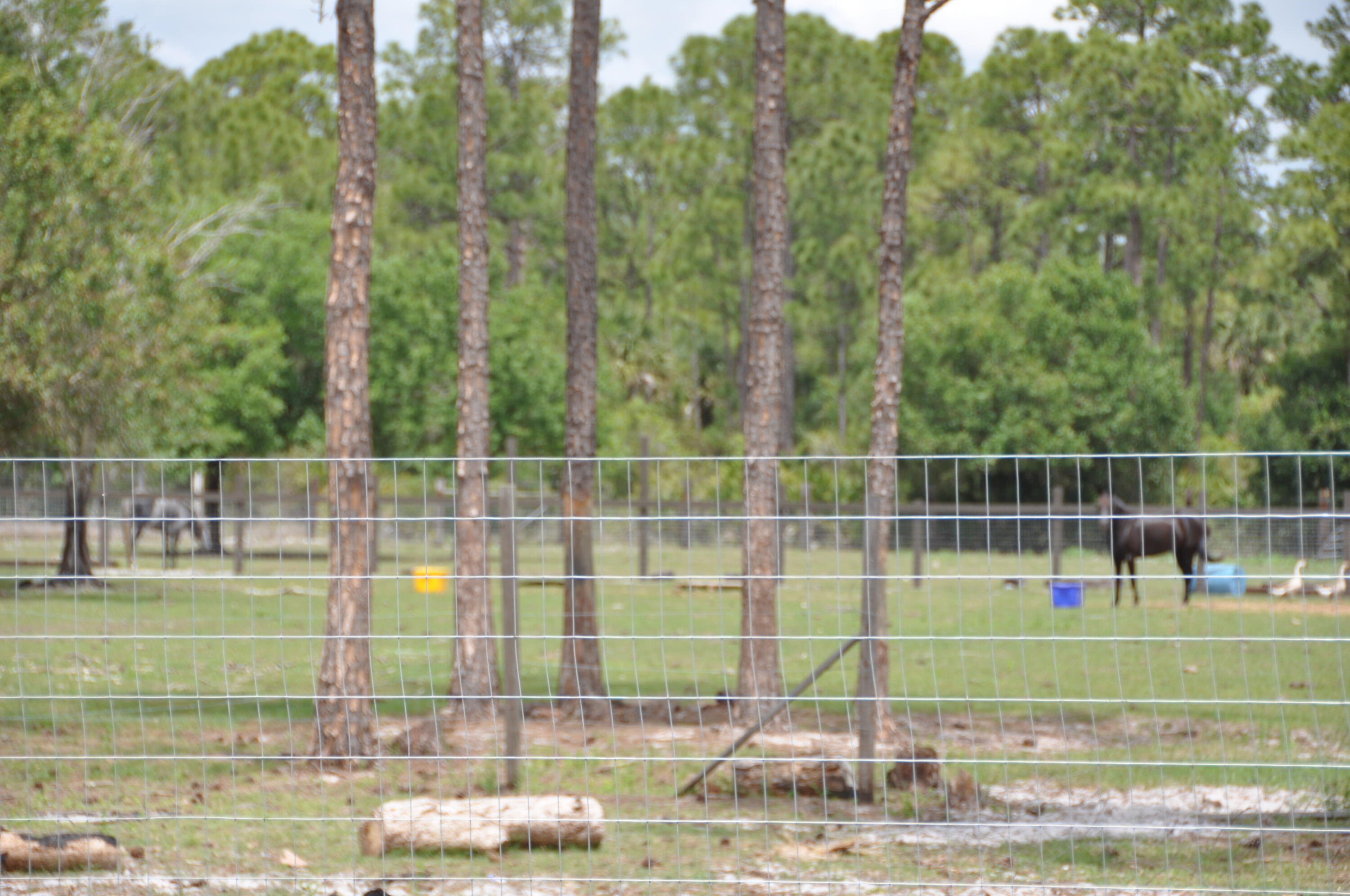 MONTURA RANCH UNREC SEC 25 - Land