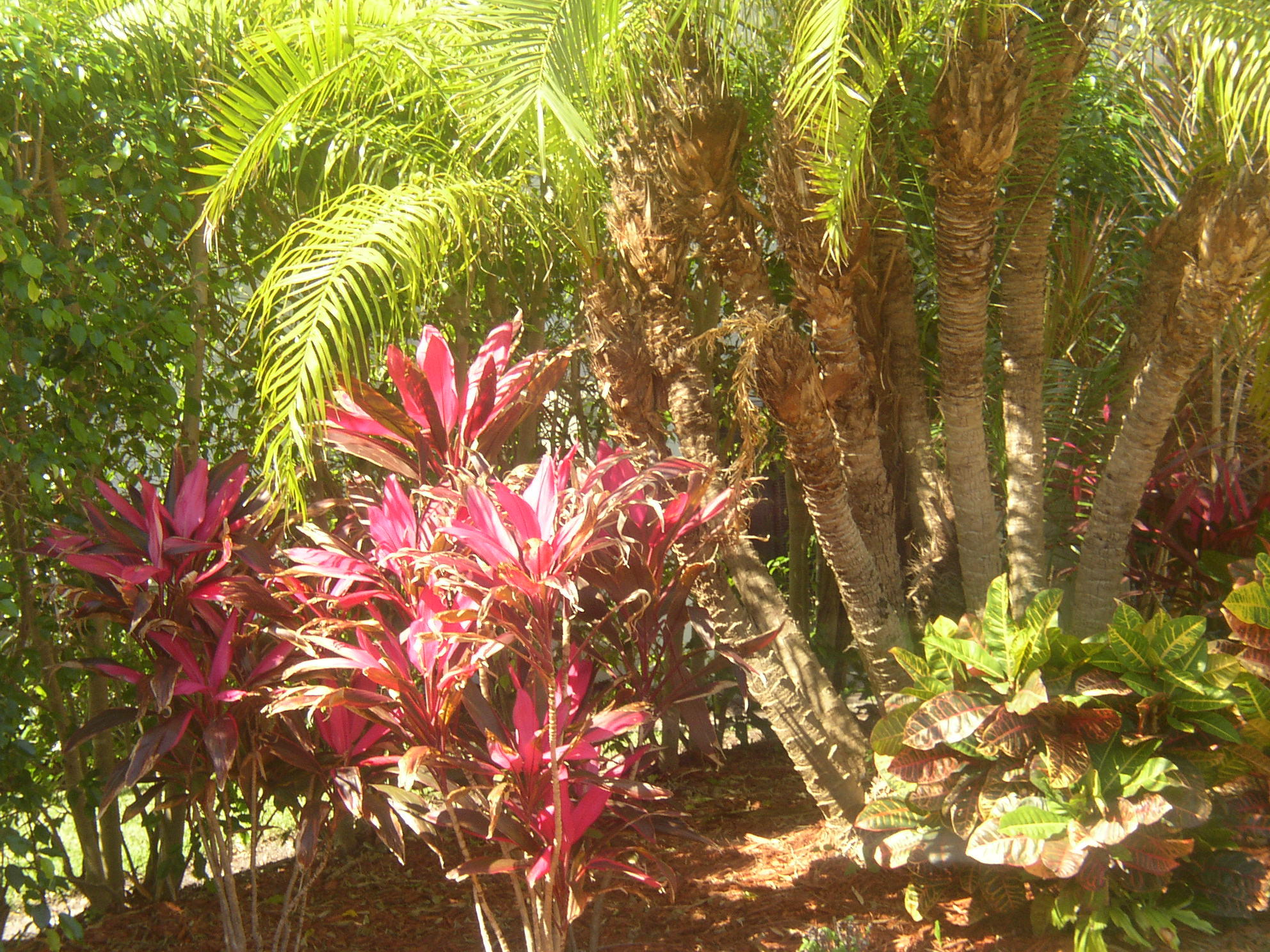 SPANISH RIVER LAND CO SUB - Residential