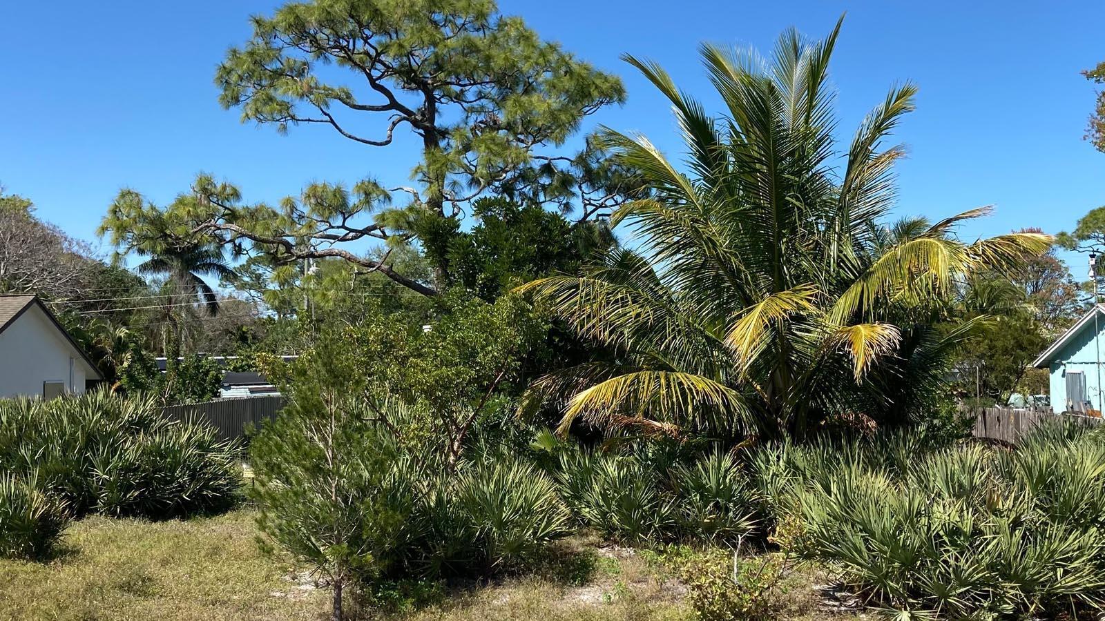 Don't miss out on this rare opportunity to acquire the only vacant lot available in Poinciana Gardens. Build your dream home within this highly sought after neighborhood in Hobe Sound and enjoy tranquil Florida living with no HOA restrictions. Minutes from golfing, fishing, beaches, and state parks.