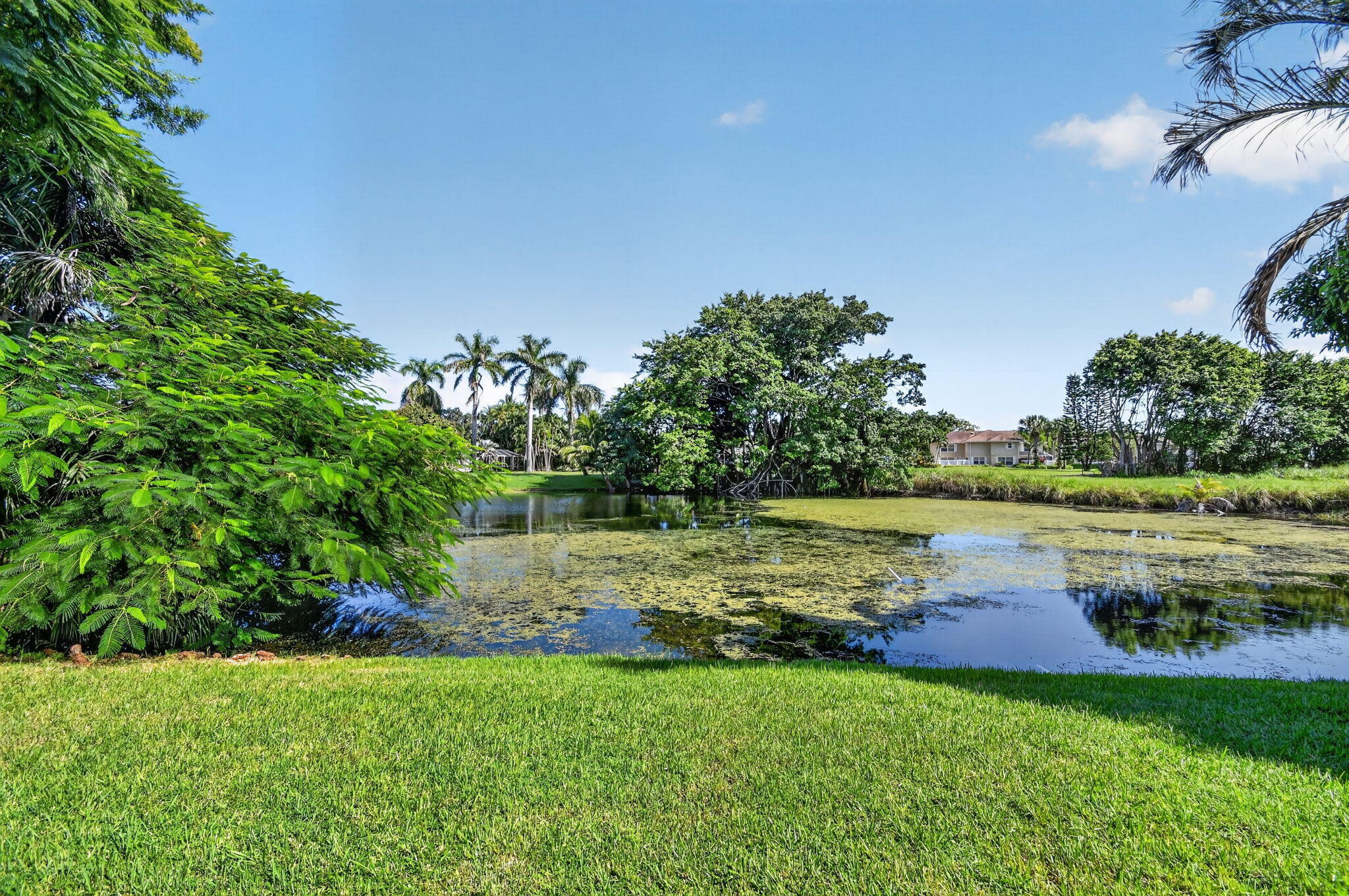 45 Heather Cove Drive
