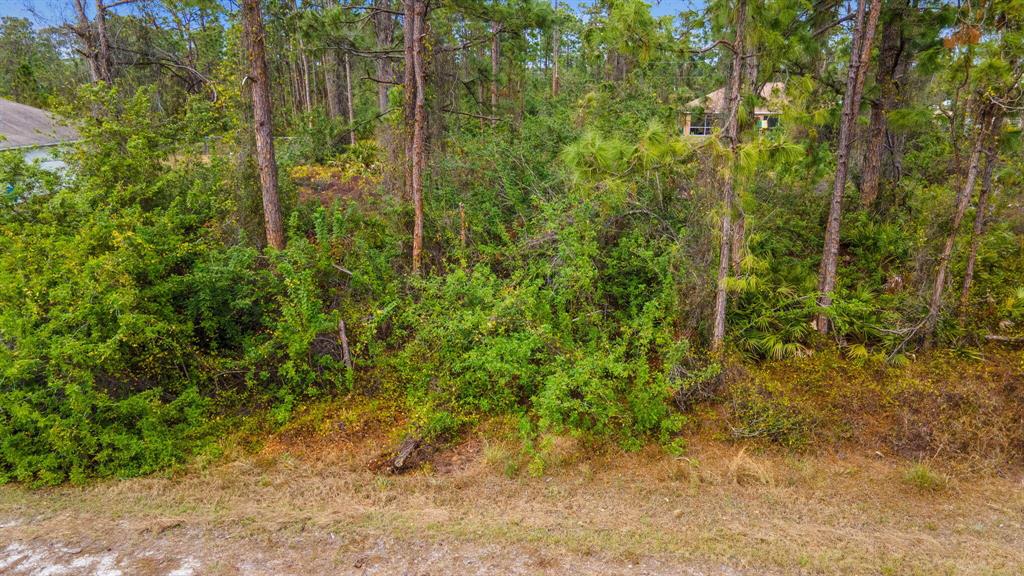 Build Your Dream Home! Invest In Your Future! Location, Location, Location, Lehigh Acres, Centrally Located In The Southwest Area, Close To Restaurants, Shopping, Golf Course, Hospitals, And Caloosahatchee River