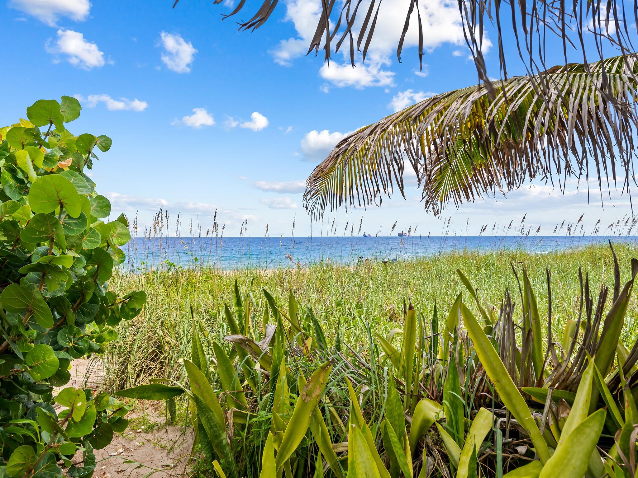 Lauderdale Beach 4-2 B - Residential