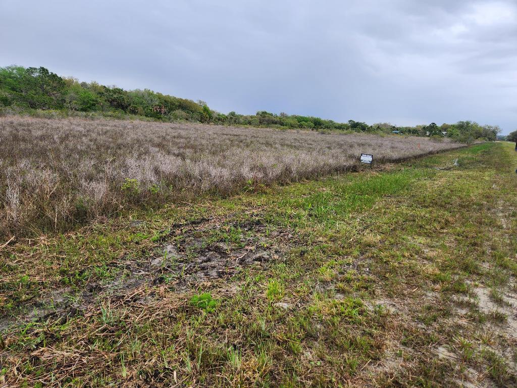Vikings Prairie - Land