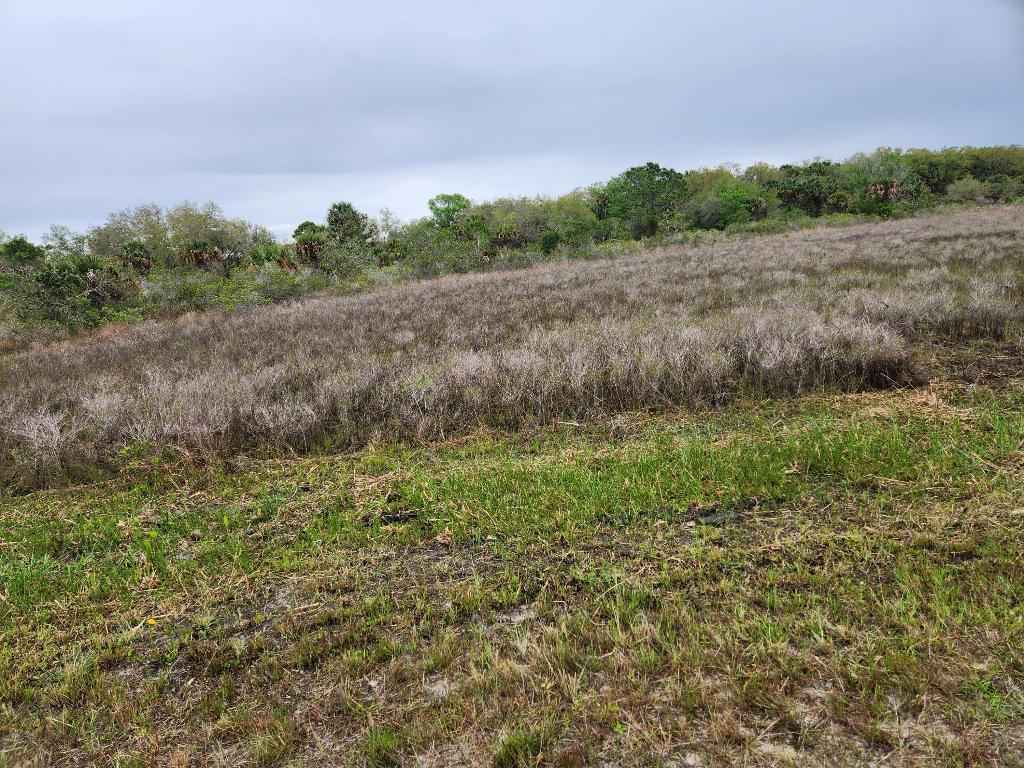 Vikings Prairie - Land