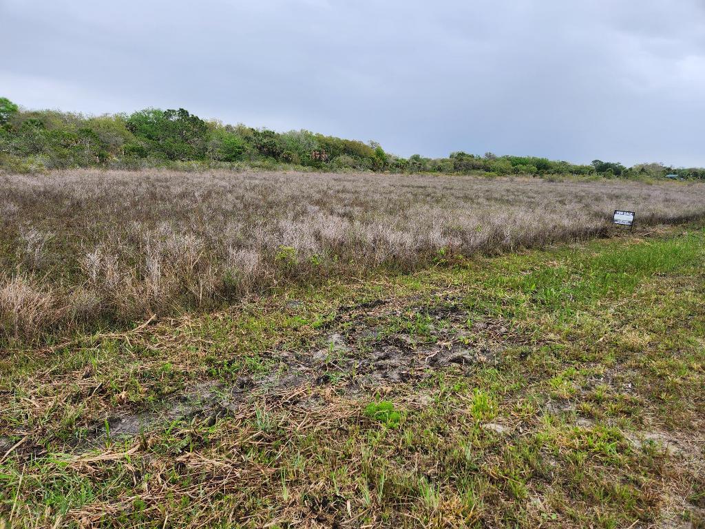 Vikings Prairie - Land