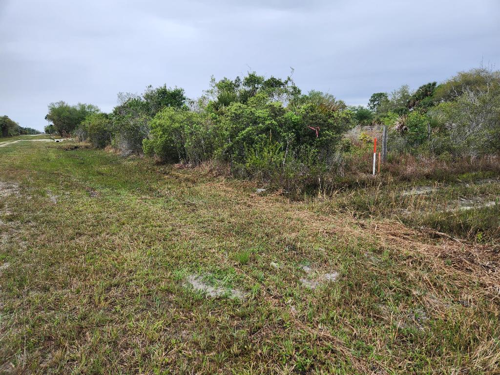 Vikings Prairie - Land
