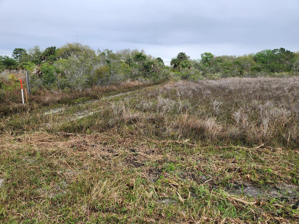Vikings Prairie - Land