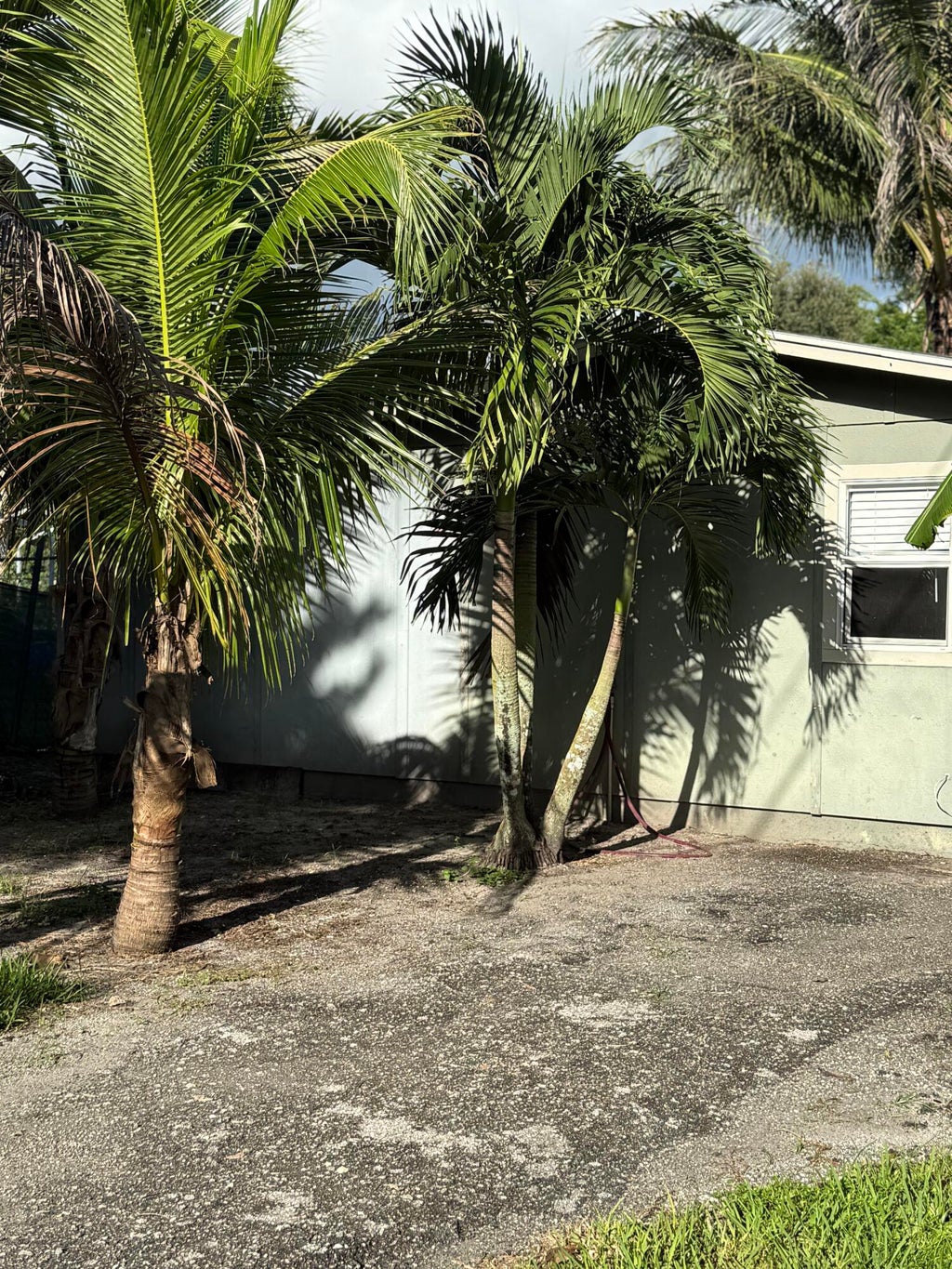 Photo of 151 Valencia Drive, Loxahatchee, FL 33470 (MLS # B26080334)