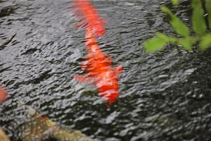 SAILFISH POINT PLAT 26 - Residential