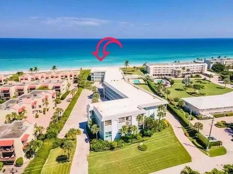 120 Celestial Way 113 Juno Beach FL 33408
