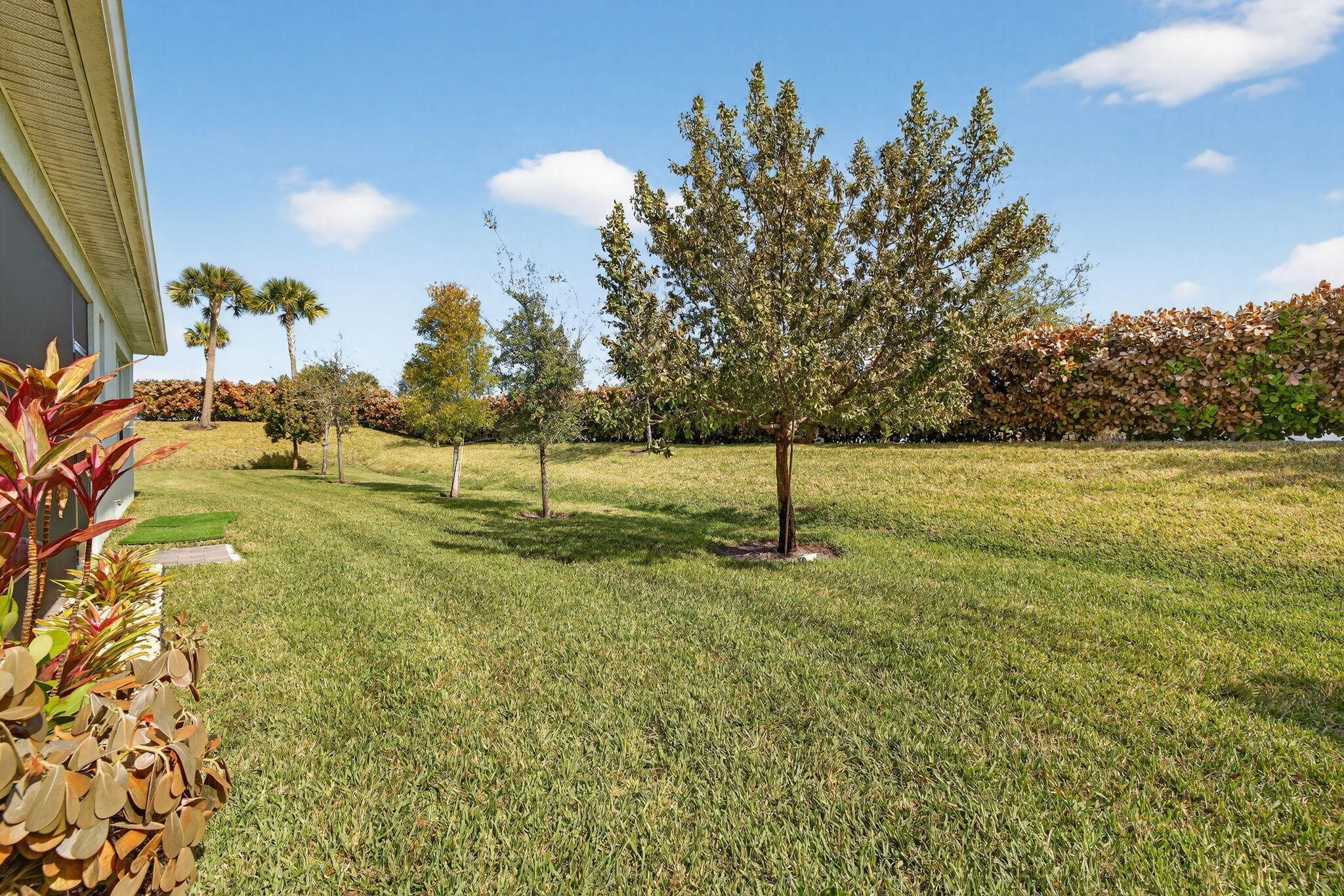 TELARO AT SOUTHERN GROVE PLAT 2 - Residential