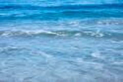  Palm Beach FL 33480