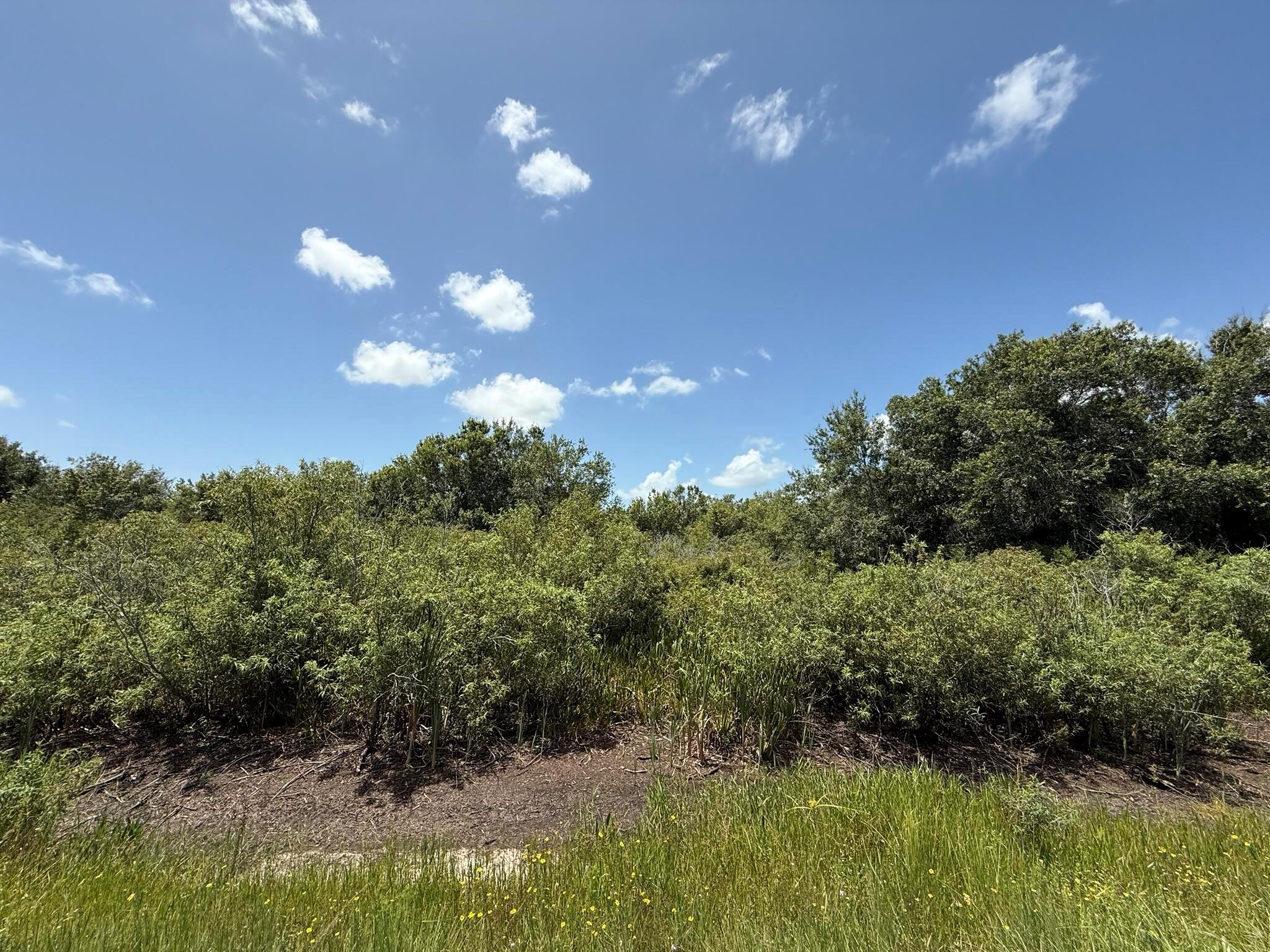 TRACT 16 - Land