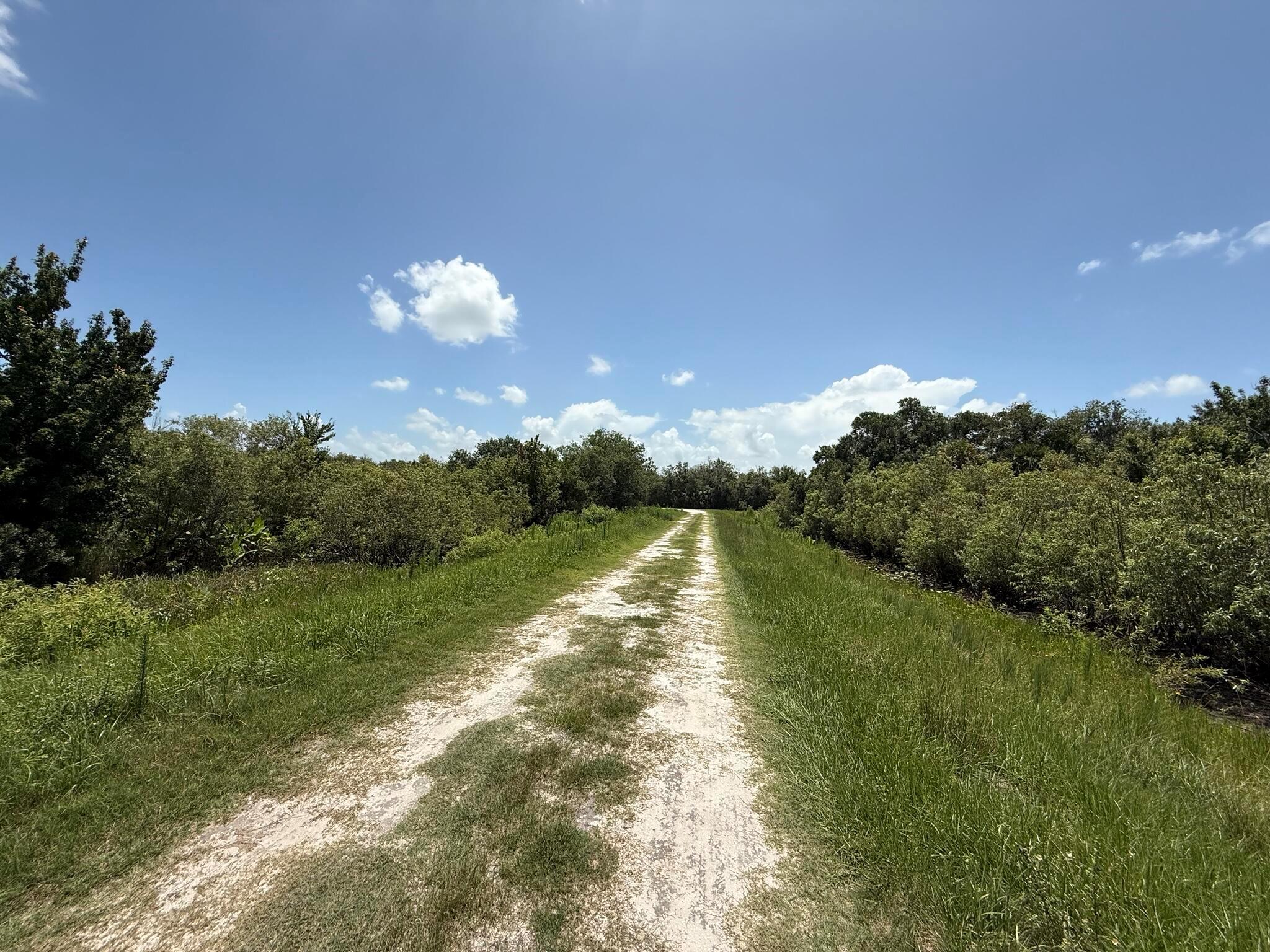 TRACT 16 - Land