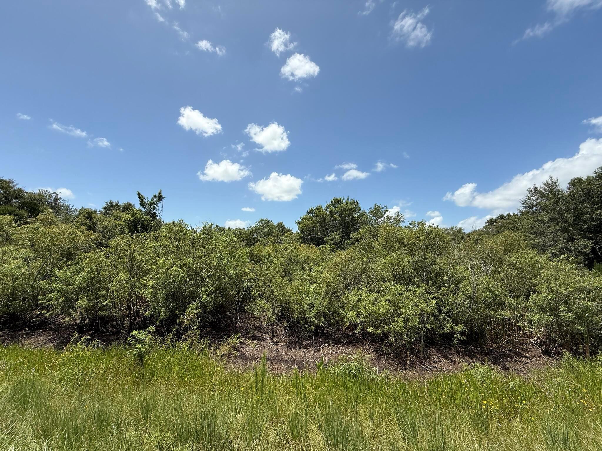 TRACT 16 - Land