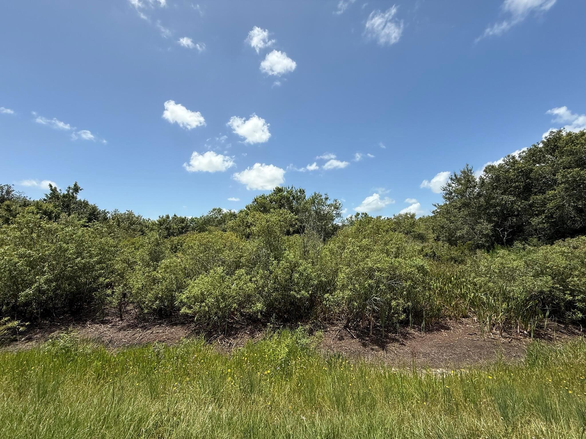 TRACT 16 - Land
