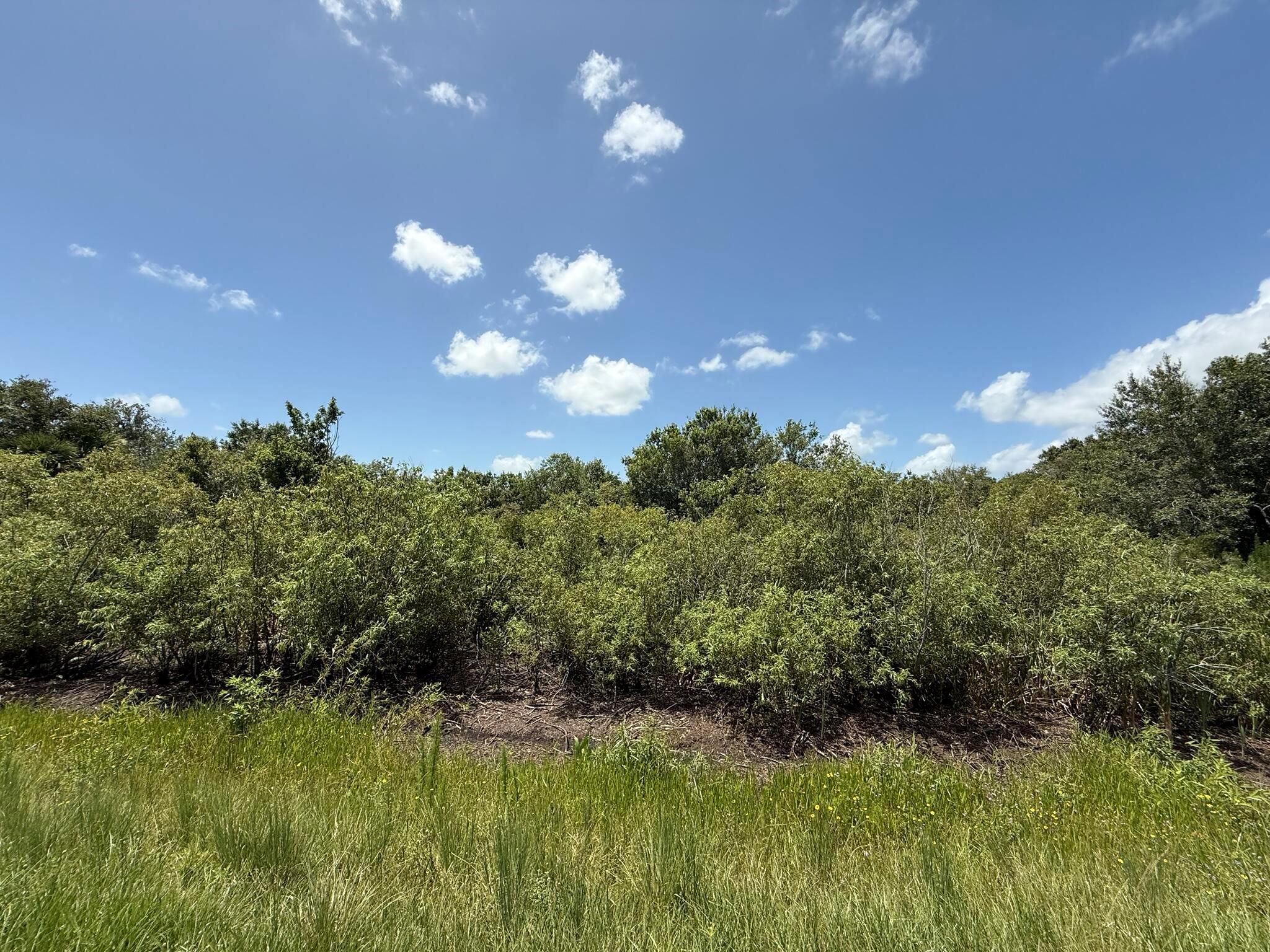 TRACT 16 - Land
