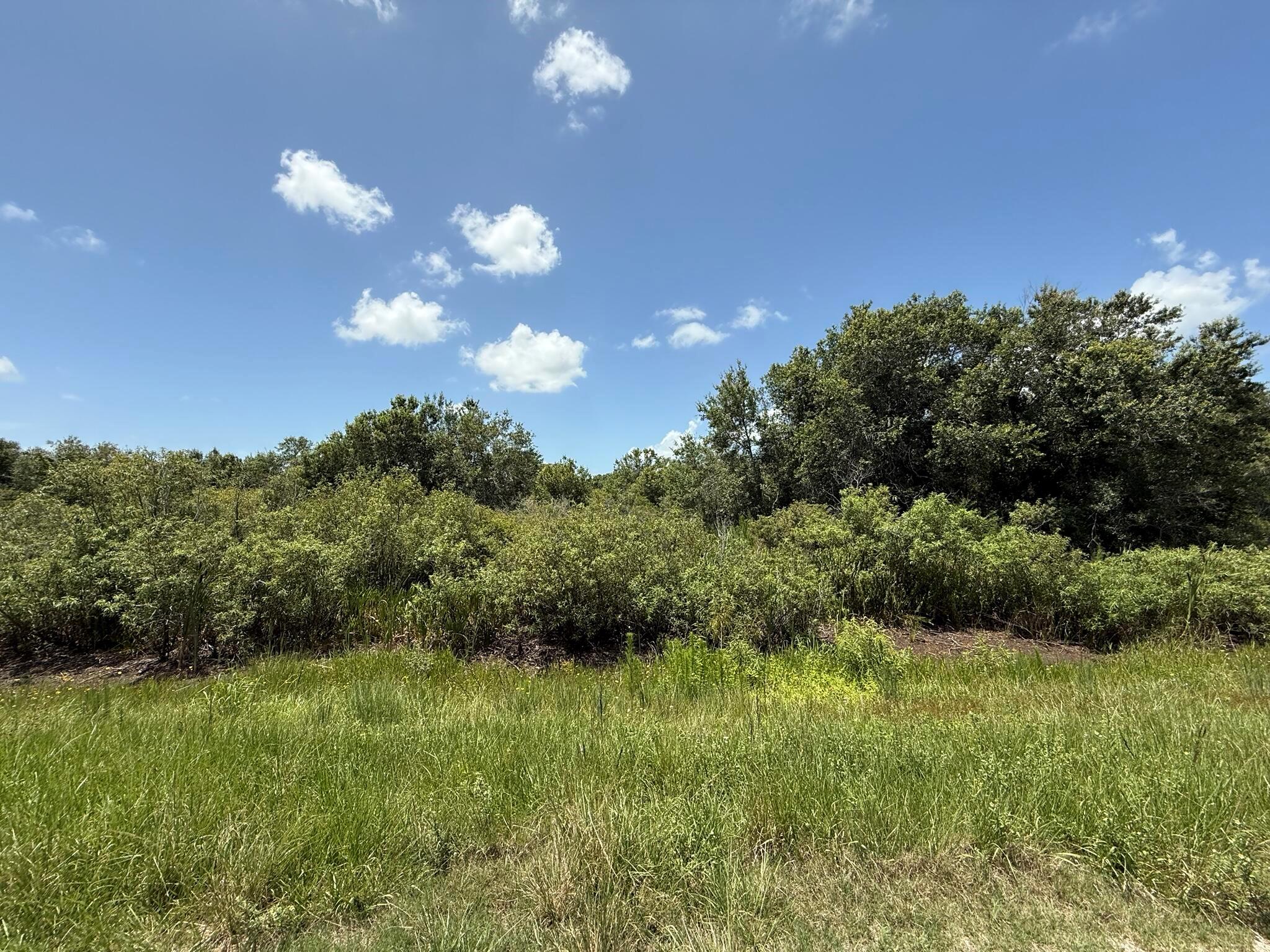 TRACT 16 - Land