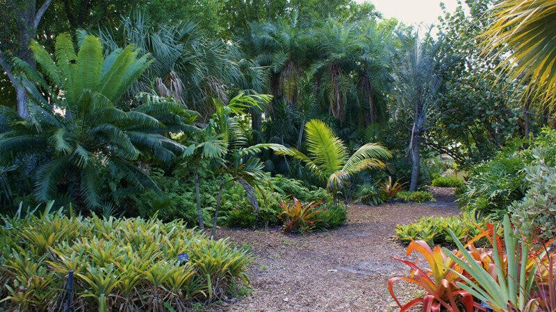 LONGWOOD VILLAGE PHASE 1 - Residential