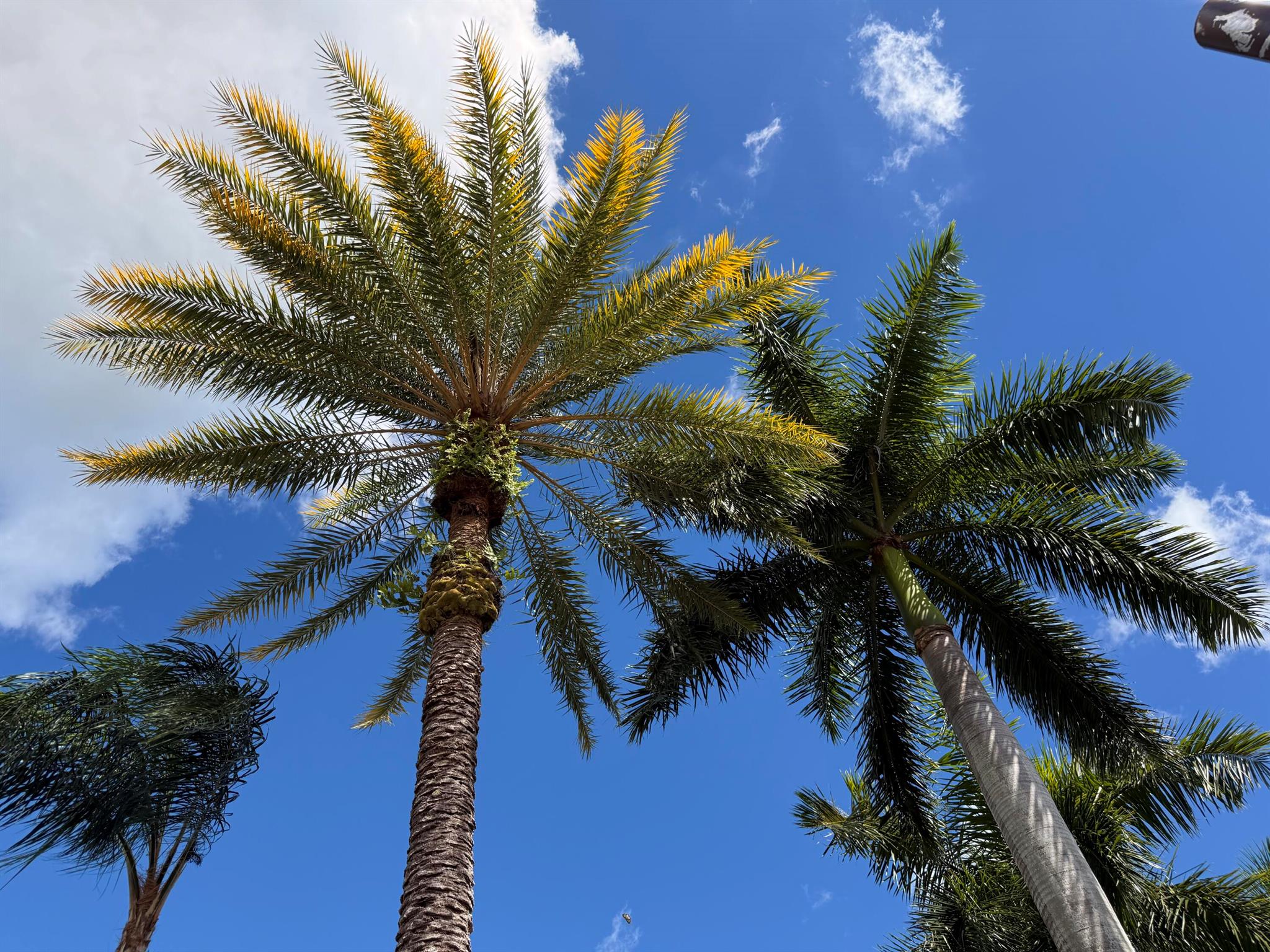 CASCADES AT ST LUCIE WEST - Residential