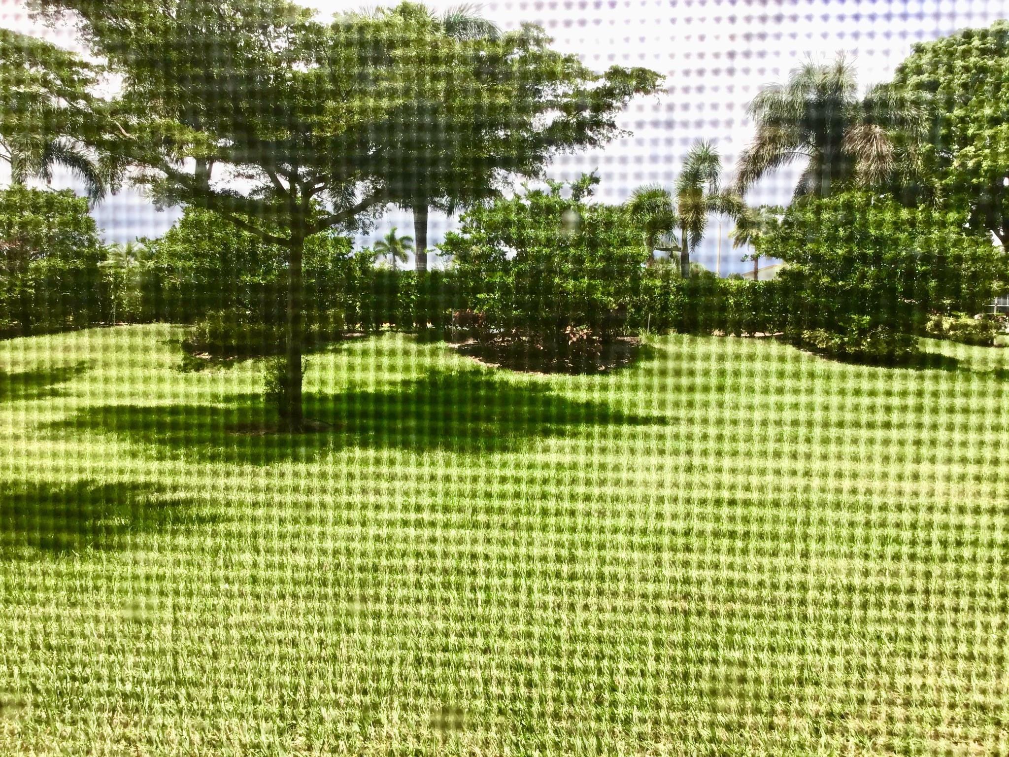 Newcastle At Century Vill - Residential Lease