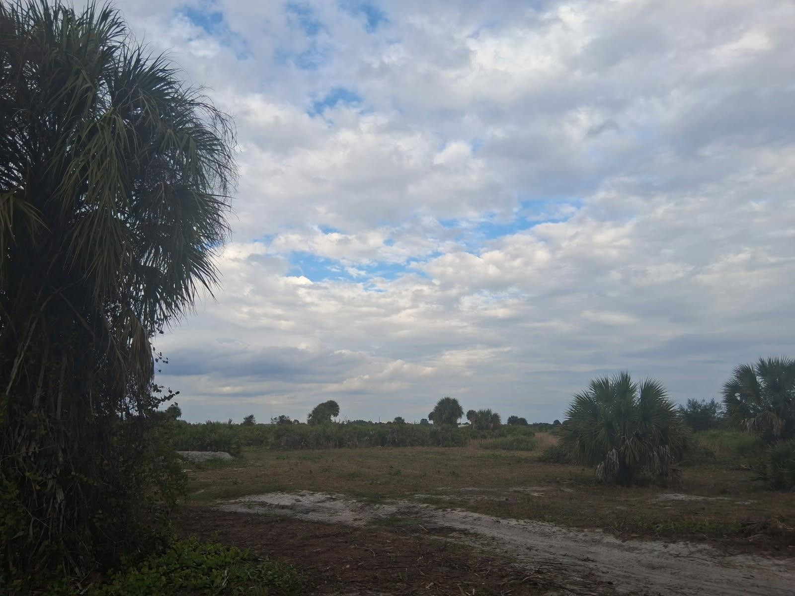 Southern Colonization - Land
