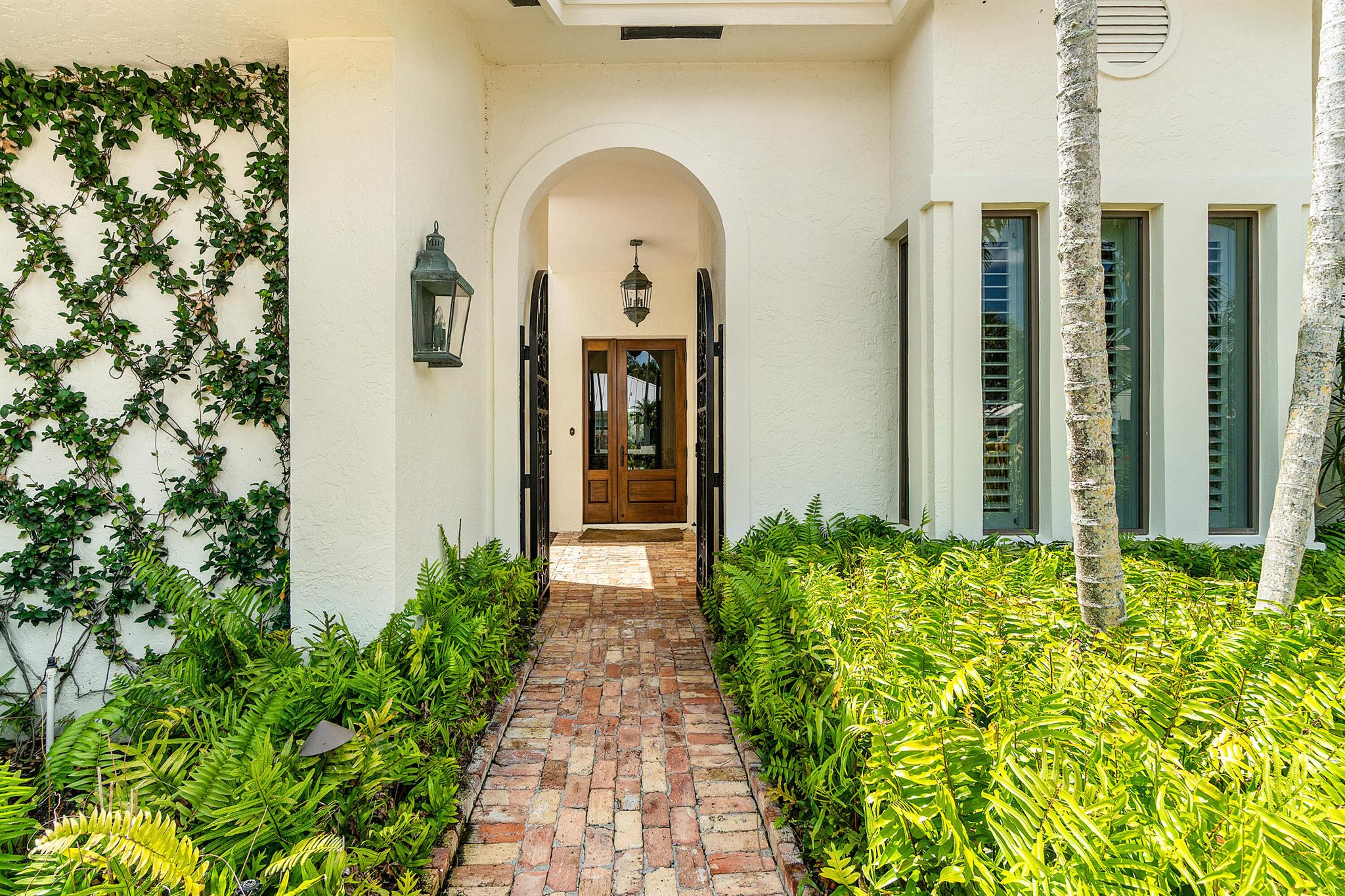 123 Terrapin Trail