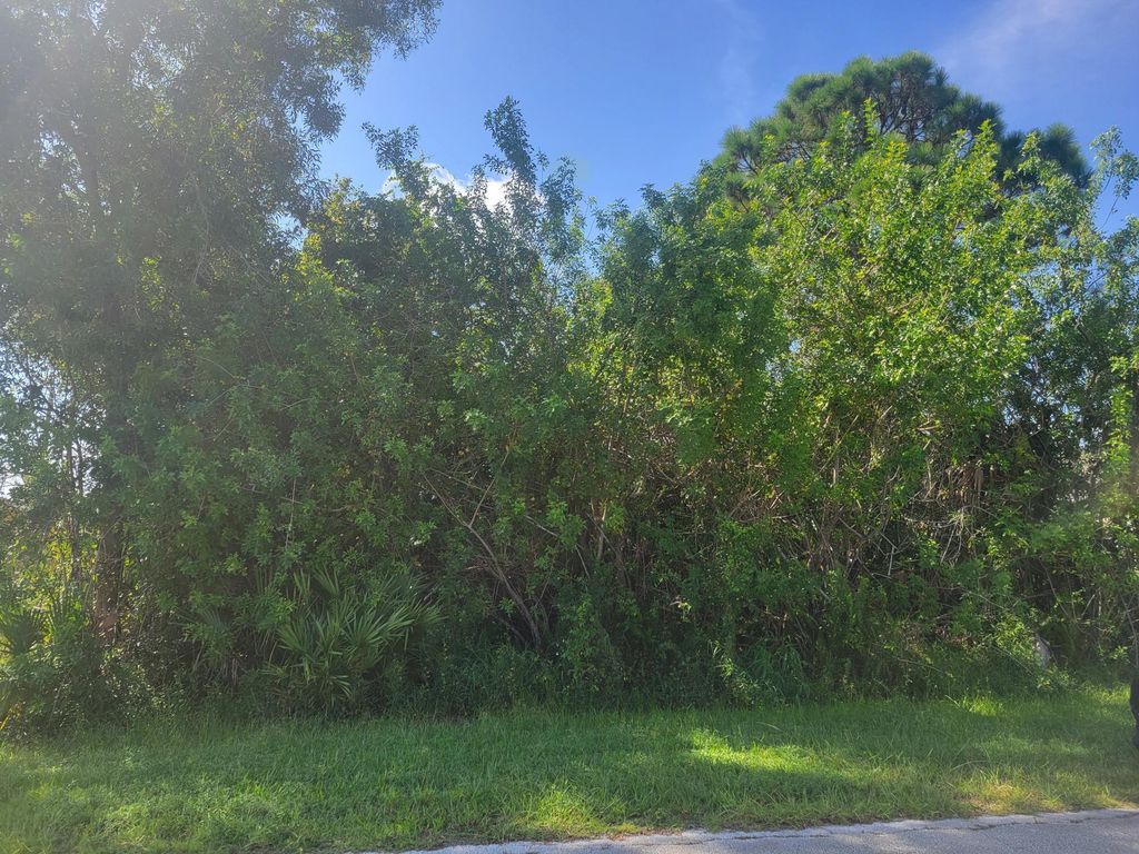 Photo of 474 SW Kaabe Avenue, Port Saint Lucie, FL 34953 (MLS # R11126677)
