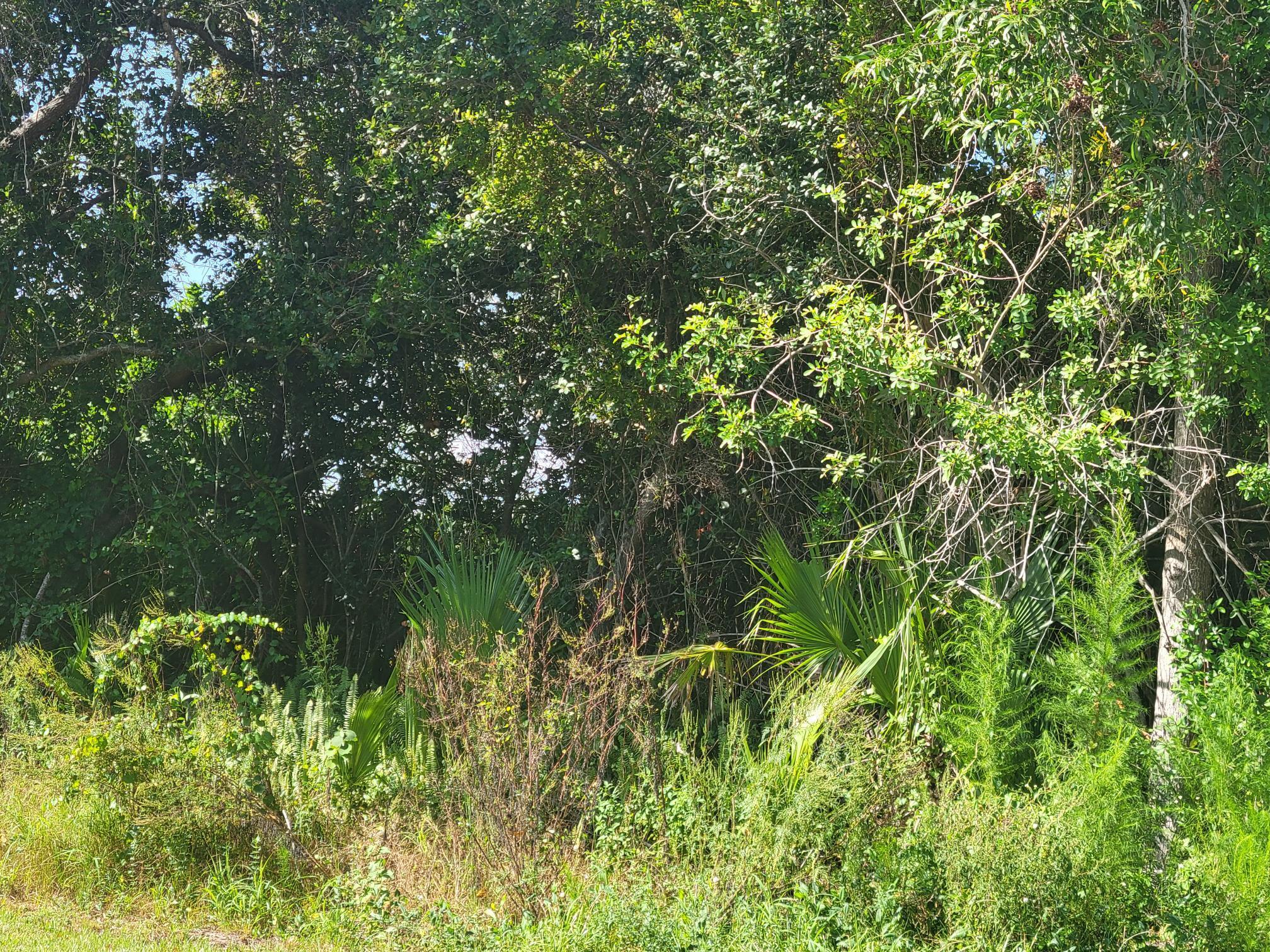 PORT ST LUCIE SECTION  22 - Land