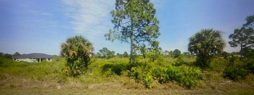 LEE CONRTY FLORIDA, RESIDENTIAL VACANT LAND, 21785 SF, AT LIHIGH ACRES
