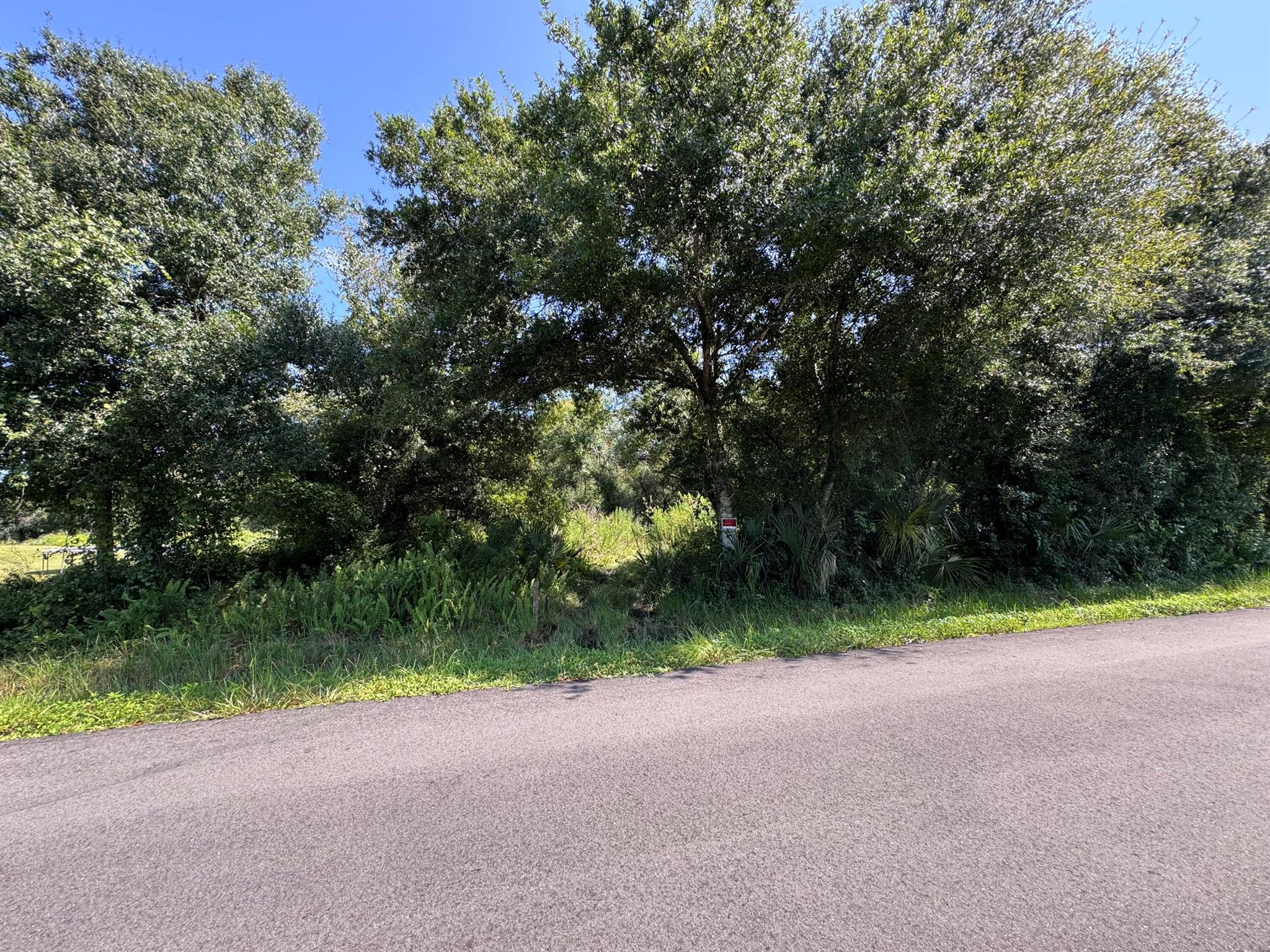 Beautiful property for you to build a new CBS or put a modular on! Plenty of trees so it can be cleared the way you want it to. A little over 1/3 of an acre on paved road. Buyer to do their own due diligence.
