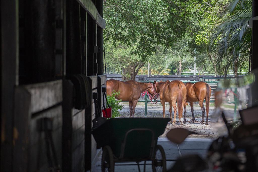 WELLINGTON - Residential