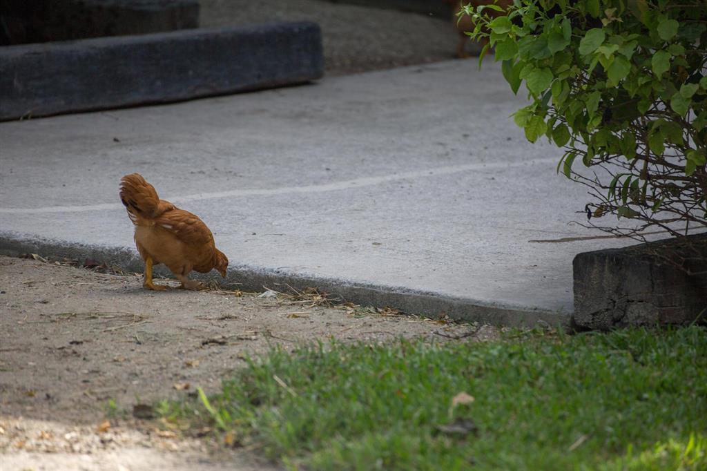 WELLINGTON - Residential