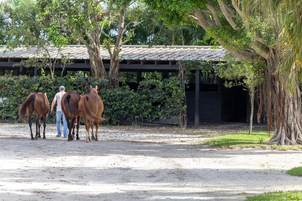 WELLINGTON - Residential
