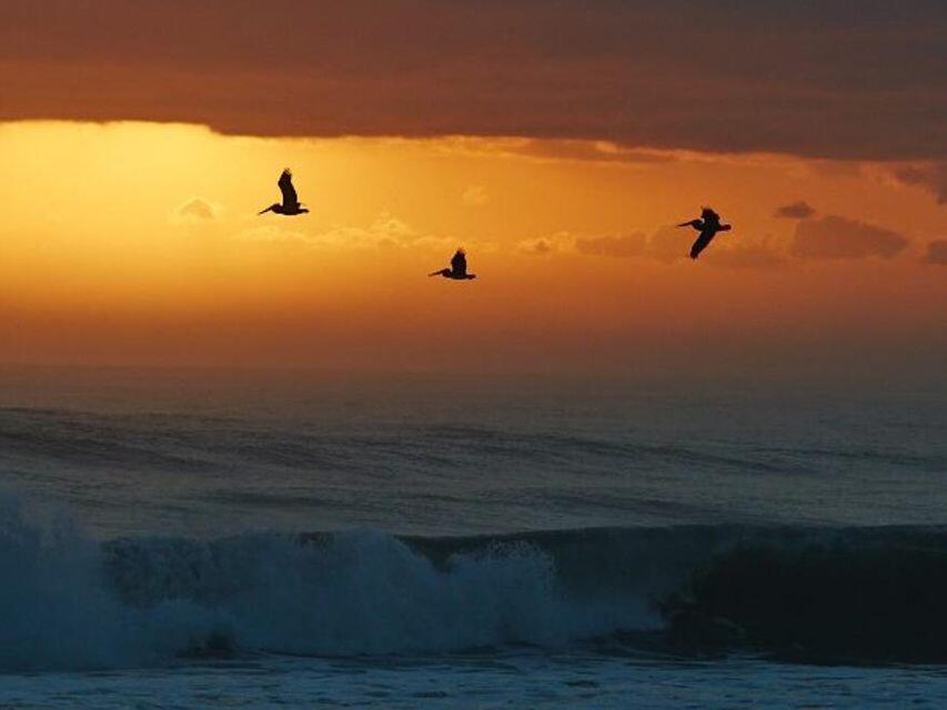 KARANDA VILLAGE V-B CONDO - Residential