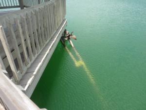 LAKE EMERALD 5 CONDO - Residential