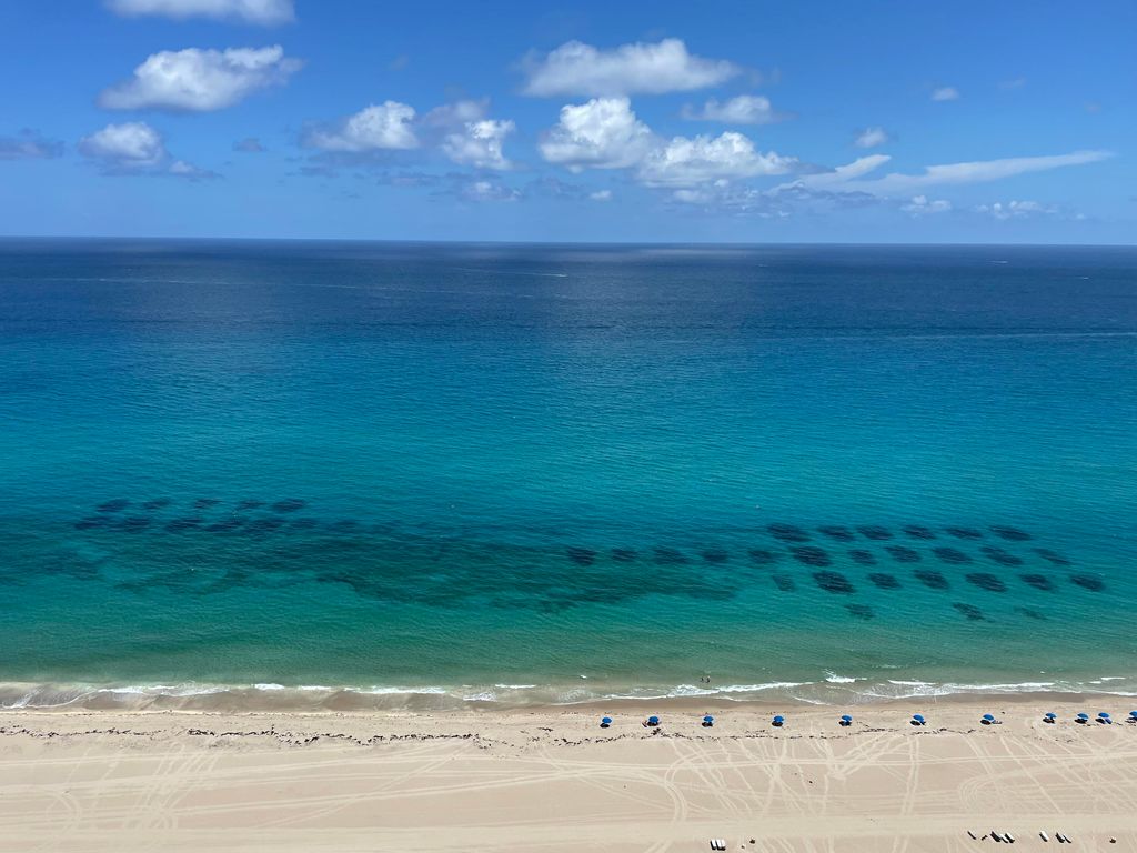 Photo of 3000 N Ocean Drive #39-E, Singer Island, FL 33404 (MLS # R10769486)