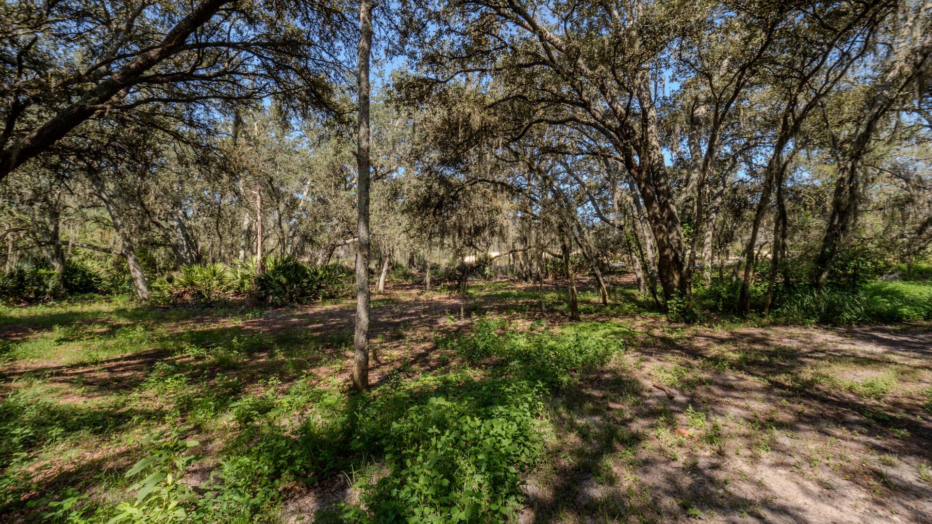 HOLIDAY HILLS - Residential