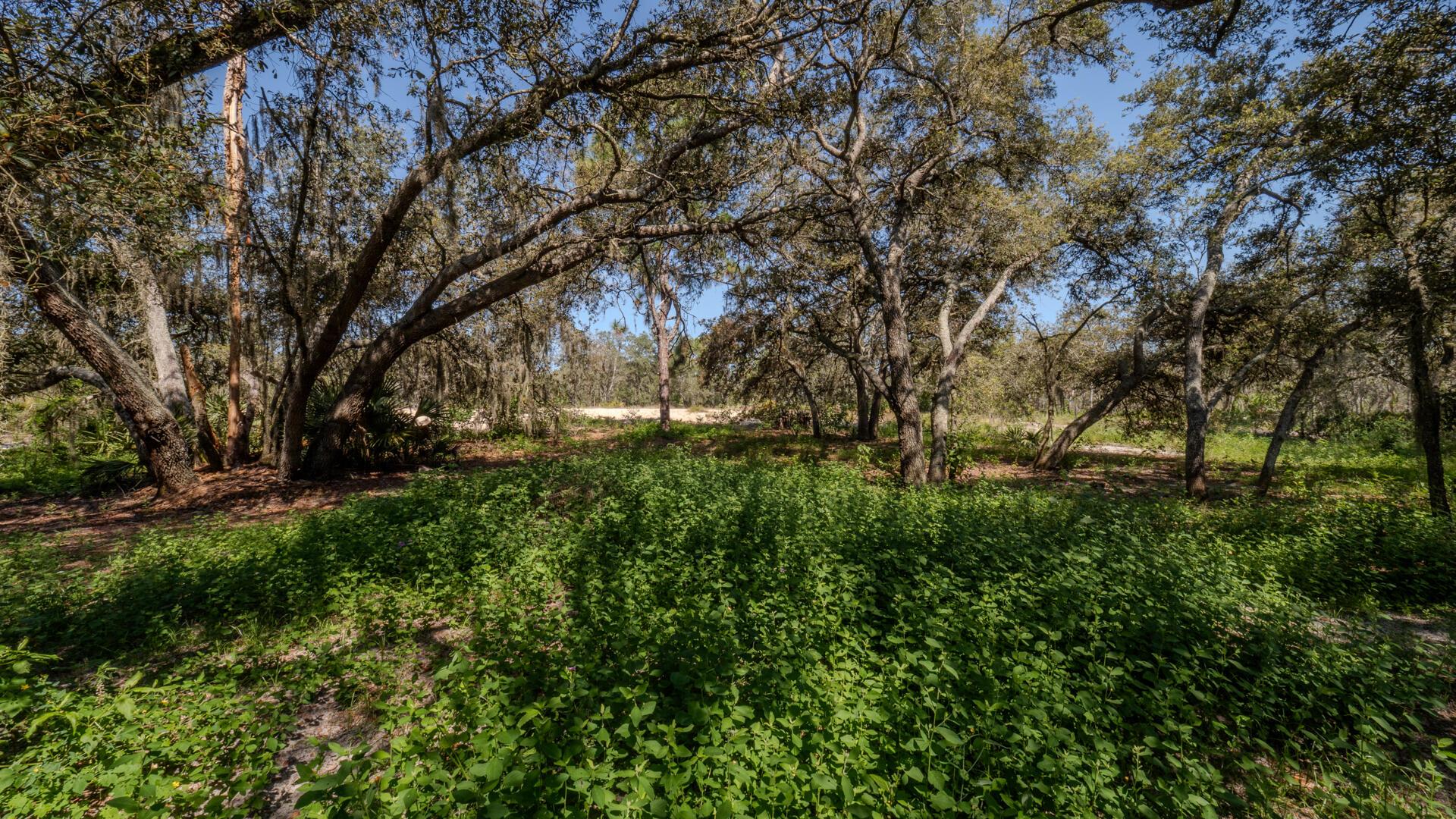 HOLIDAY HILLS - Residential