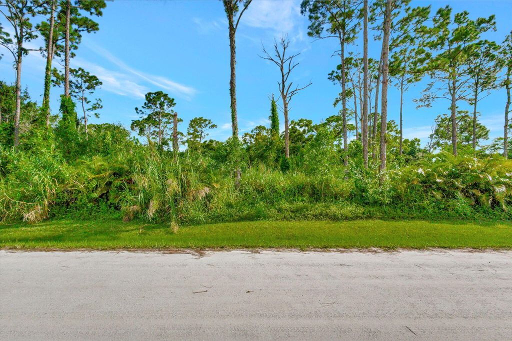 Photo of 16222 E Downers Drive, Loxahatchee, FL 33470 (MLS # R11017211)