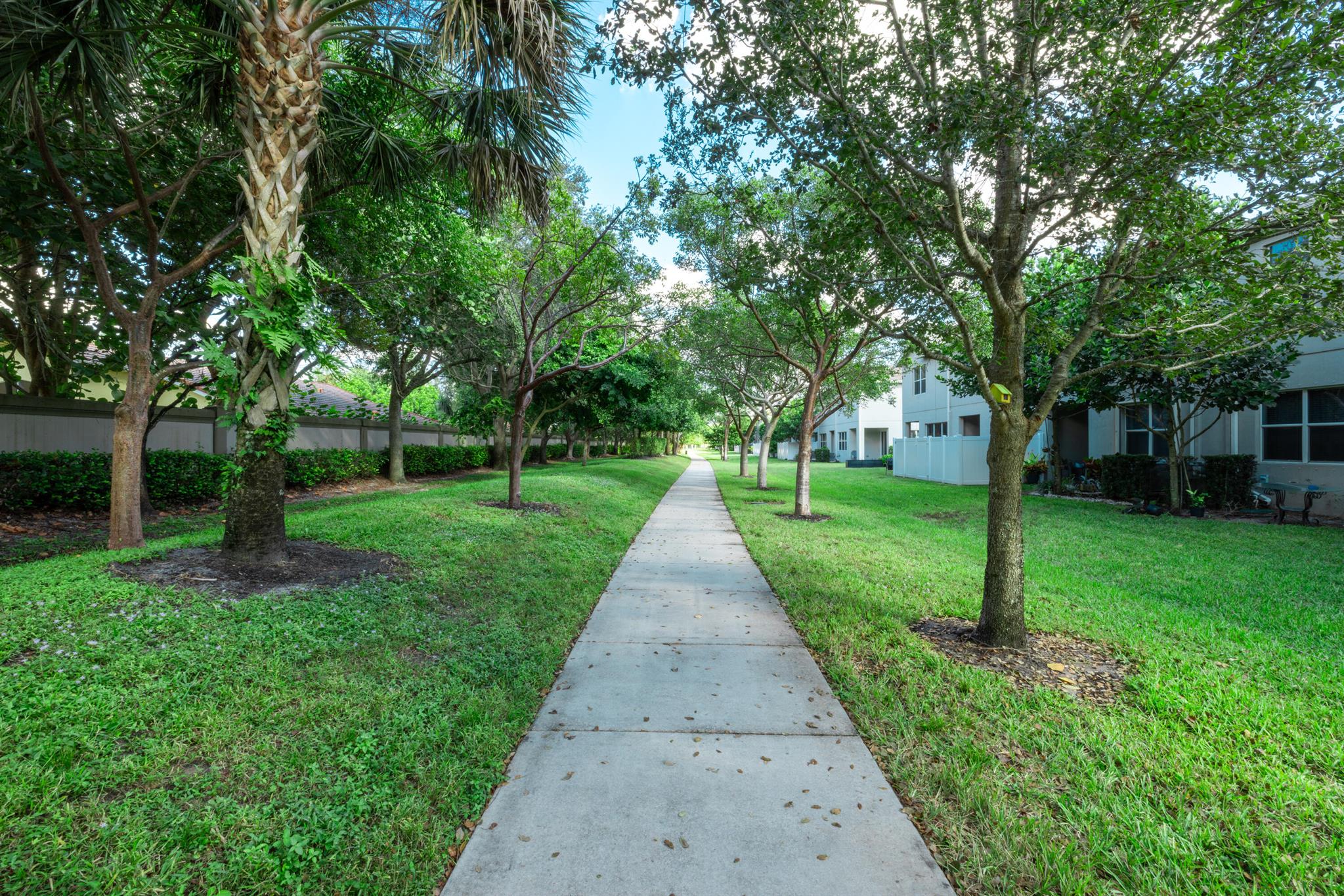 TOWN COMMONS - Residential