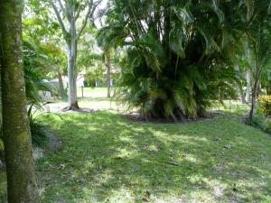 JUPITER FARMS - Residential